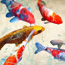 Quadro Animale Acquario Pesce