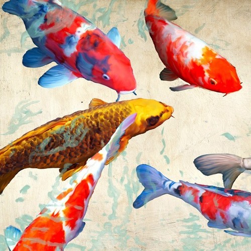 Quadro animale acquario pesce - quadro,