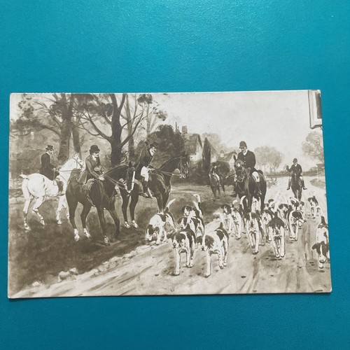 Caccia alla volpe cavallo - caccia, a
