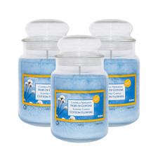 3 CANDELE PROFUMATE GIARA