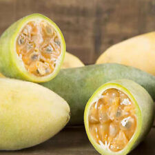 Frutto della passione da