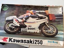 protar modelli kawasaki 250 tony mang 1/9
