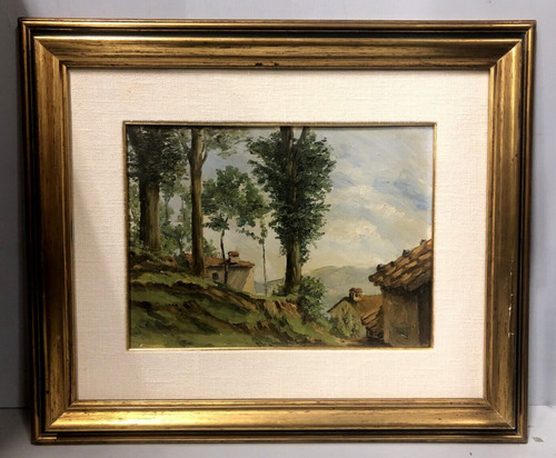 Quadro olio carignani mario - quadro,