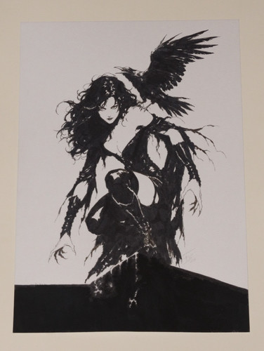 Dama del cuervo disegno - la,