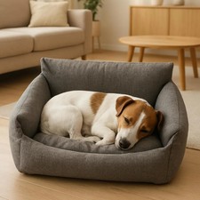 Cuccia cane interno a - cuccia,