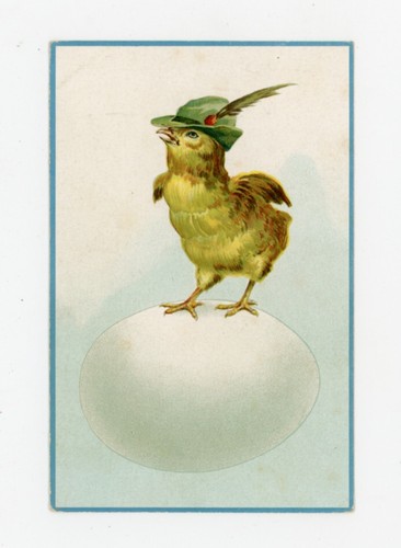 Alpini pasqua pulcino uovo - pasqua,