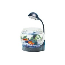 Pets  ACQUARIO PESCI BOCCIA DI