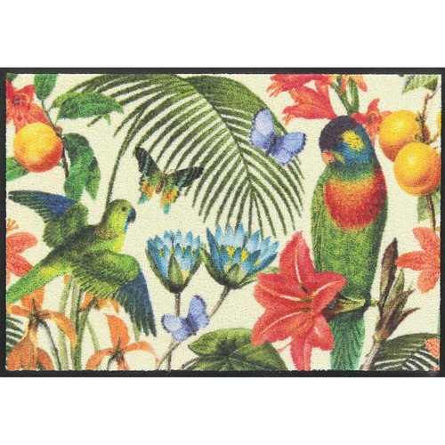 Zerbino salonloewe jardin - zerbino,