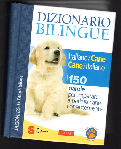 Dizionario bilingue