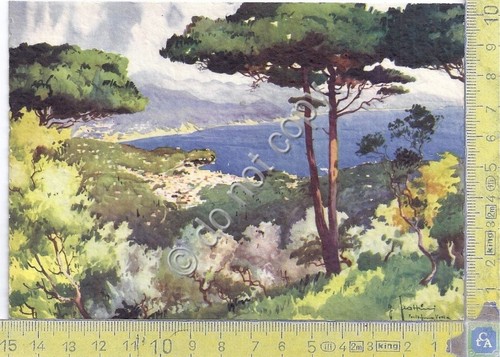 Cartolina postcard - cartolina,