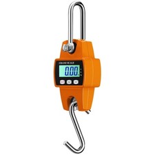 bilancia elettronica a gancio