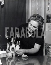 Foto Vintage Animali Cane Tik con la sua anziana padrona stampa 24x20 cm