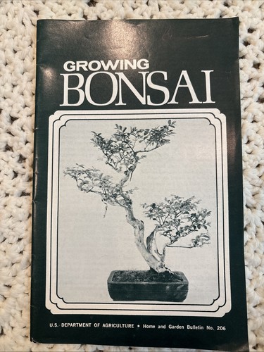 Vintage growing bonsai s - vintage,