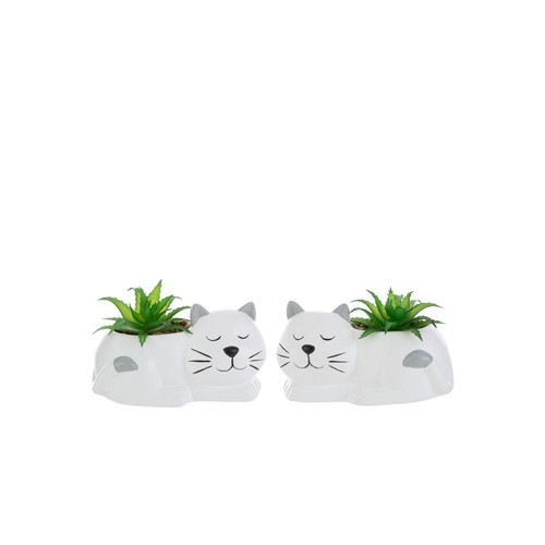 Vaso vasetto gatto - vaso,
