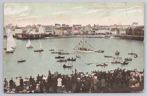 Bangor down postcard the - co,