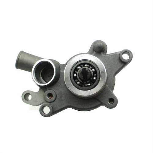 Water pump per vog260 linhai - water,