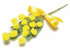 Mazzo Fiori Mazzolino di