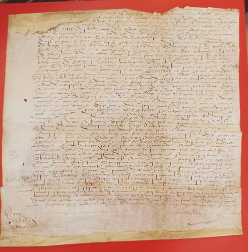 Grande pergamena manoscritta