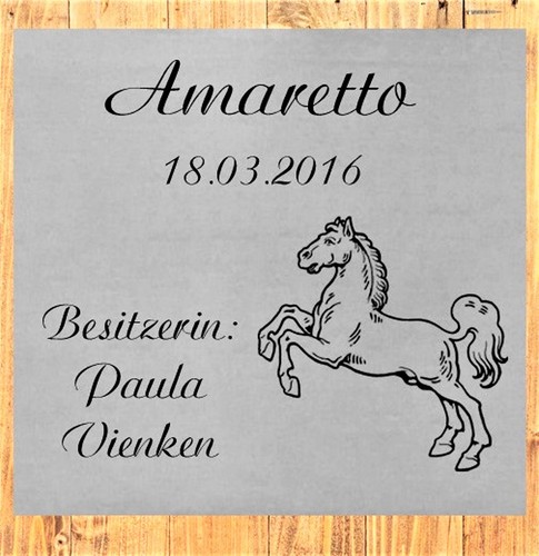 Box cavalli insegna - insegna, con