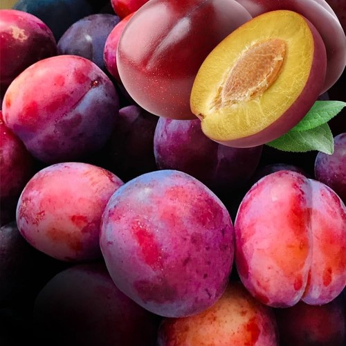 Pianta frutto susino - pianta,