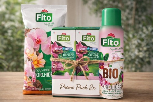 Kit completo orchidee - completo,