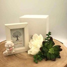 Portafoto Gattino Rosa 9x11 -