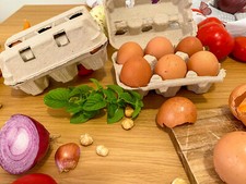 50 Contenitori Portauova