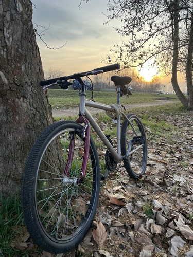 Bici mtb - mtb,