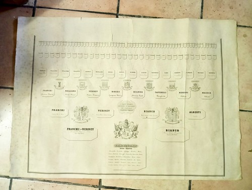 Albero genealogico franchi - albero,