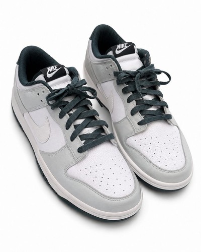 Nike dunk low retro photon - se,