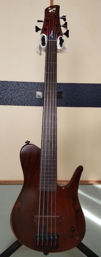 Basso elettrico fodera - basso,