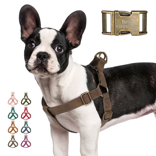 Step imbracatura per cani - in,