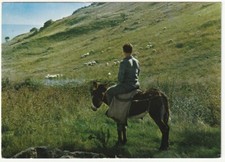 PASCOLO IN LOGUDORO - SASSARI