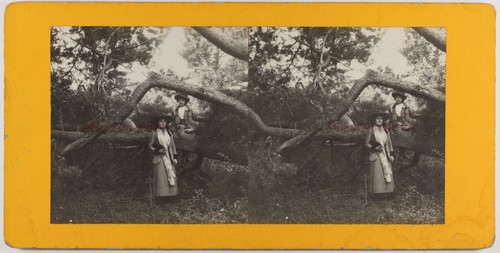 Deux femmes nel legno - nel,