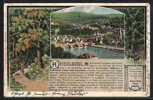 Heidelberg neckar panorama - /, neckar,