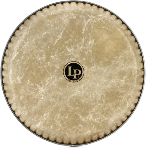 Testa conga fiberskyn a - testa,