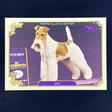 2024 Allen Ginter SKY