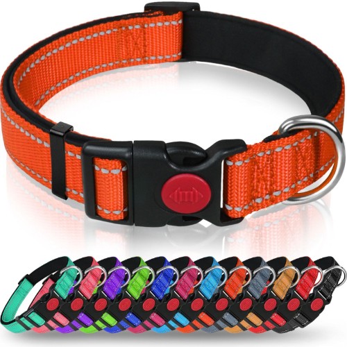 Collare per cani riflettente - cani,