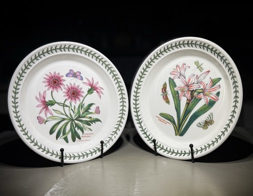 Set piatti insalata giardino