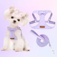 Set Pettorina + Guinzaglio