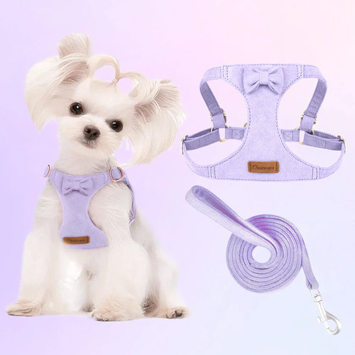 Set pettorina guinzaglio - pettorina, +