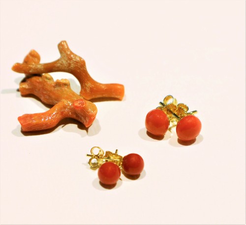 Orecchini corallo rosso - in,