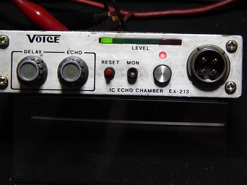 Voice 213 echo chamber - voice,