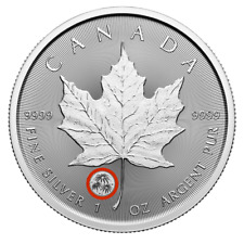 🇨🇦 Canada 99,99% argento