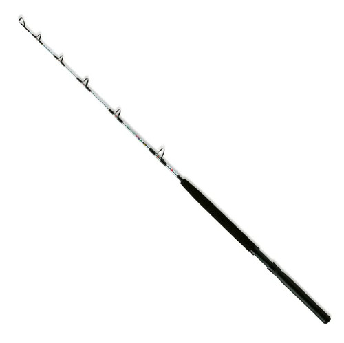 Canna lineaeffe miami lb - miami, 8-16