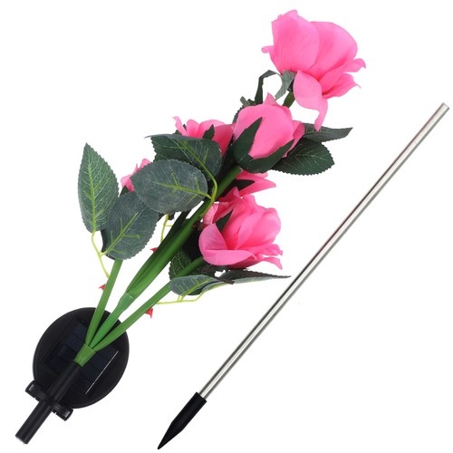 Teste fiore luci - fiore, solari