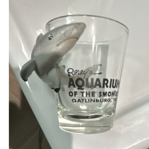 Ripley aquarium the - ripley’s,