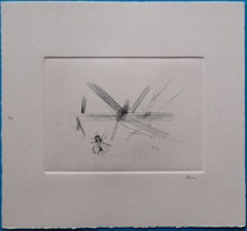 Guido Strazza (Santa Fiora 1922) - Insetti, 1980 - Incisione n° 24