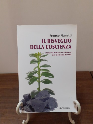 Franco nanetti il risveglio - franco,