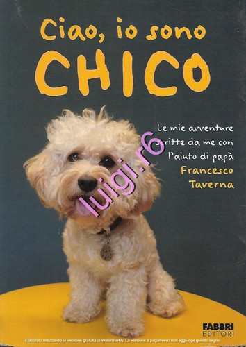 Ciao sono chico - sono,